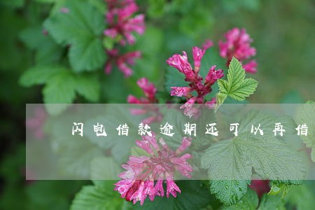 闪电借款逾期还可以再借吗 闪电借款逾期还可以再借吗