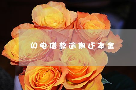 闪电借款逾期还本金 闪电借款逾期还本金