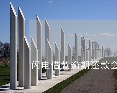 闪电借款逾期还款会怎么样 闪电借款逾期还款会怎么样