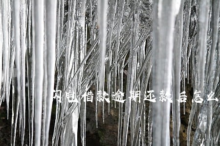 闪电借款逾期还款后怎么办