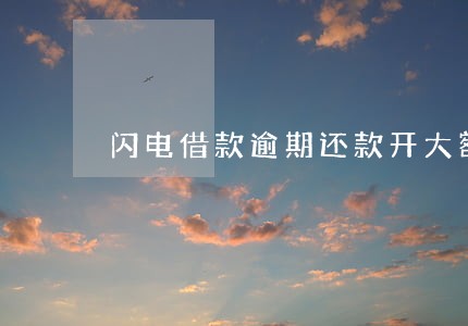 闪电借款逾期还款开大额 闪电借款逾期还款开大额