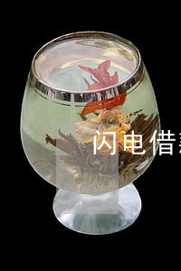 闪电借款逾期还款还能再借嘛 闪电借款逾期还款还能再借嘛