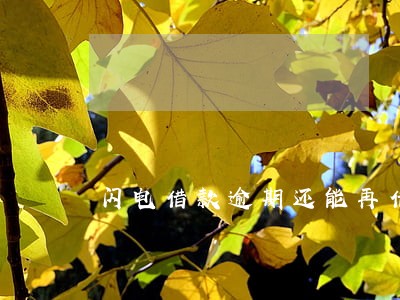 闪电借款逾期还能再借