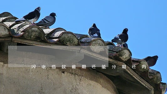 闪电借款逾期还能分期还吗 闪电借款逾期还能分期还吗