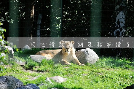 闪电借款逾期还能在借了么 闪电借款逾期还能在借了么