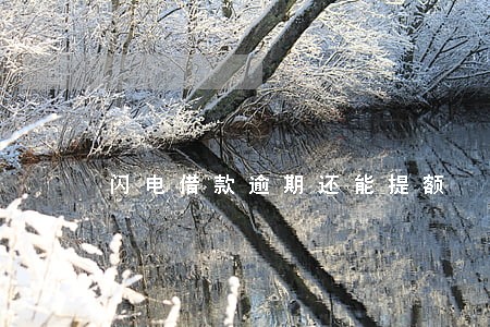 闪电借款逾期还能提额