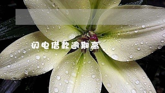 闪电借款逾期高 闪电借款逾期高