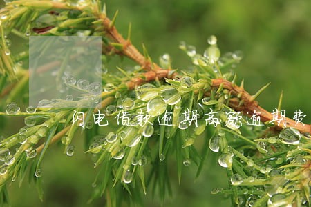 闪电借款逾期高额逾期费