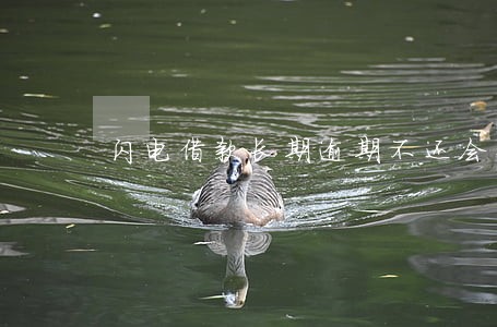 闪电借款长期逾期不还会怎么样 闪电借款长期逾期不还会怎么样