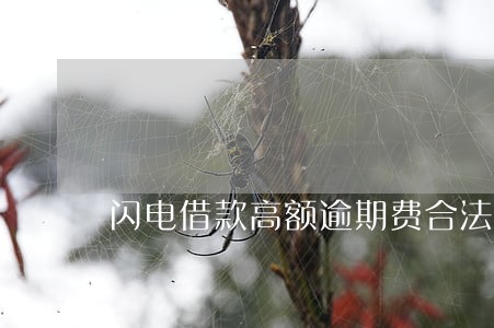 闪电借款高额逾期费合法吗