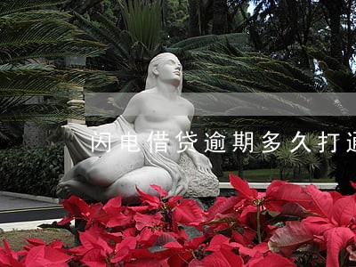 闪电借贷逾期多久打通讯录 闪电借贷逾期多久打通讯录