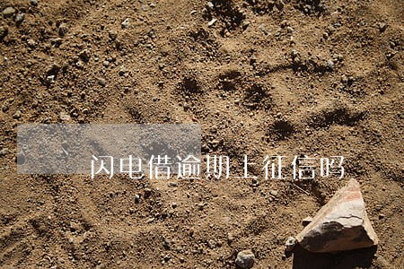 闪电借逾期上征信吗 闪电借逾期上征信吗