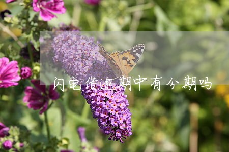 闪电借逾期中有分期吗