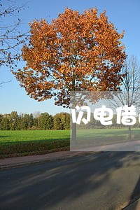 闪电借逾期会上征信吗