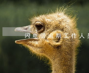 闪电借逾期工作人员在帮你借款 闪电借逾期工作人员在帮你借款