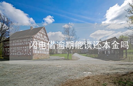 闪电借逾期能谈还本金吗