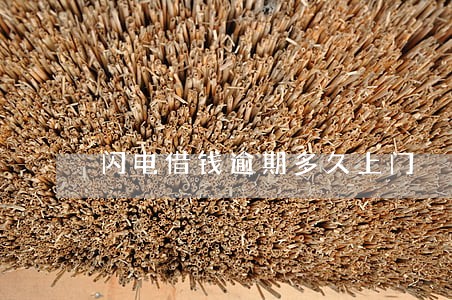 闪电借钱逾期多久上门 闪电借钱逾期多久上门