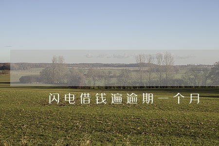 闪电借钱遍逾期一个月 闪电借钱遍逾期一个月