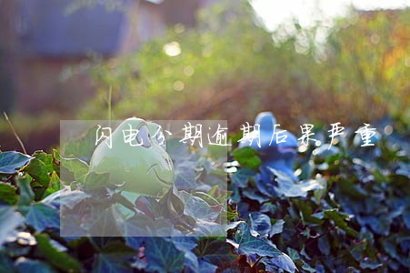 闪电分期逾期后果严重 闪电分期逾期后果严重