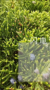 闪电协商逾期费