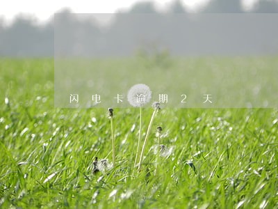 闪电卡逾期2天 闪电卡逾期2天