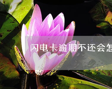 闪电卡逾期不还会怎么样