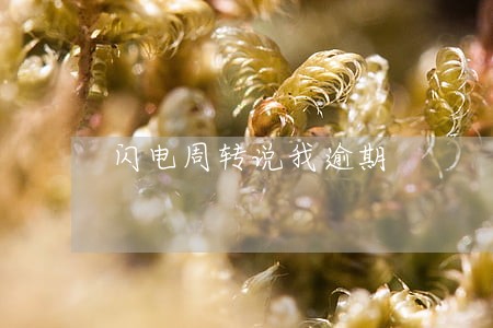 闪电周转说我逾期 闪电周转说我逾期