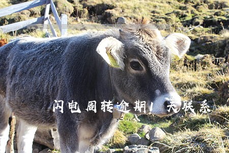 闪电周转逾期1天联系 闪电周转逾期1天联系