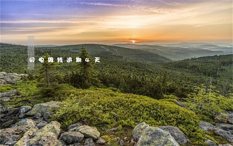 闪电周转逾期4天 闪电周转逾期4天