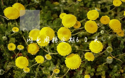 闪电周转逾期60天 闪电周转逾期60天
