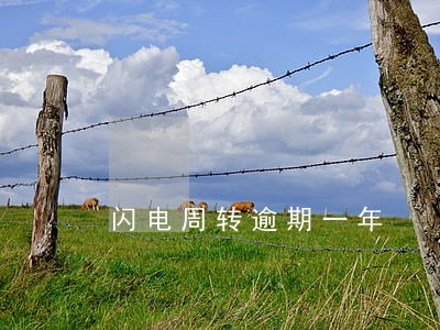 闪电周转逾期一年 闪电周转逾期一年