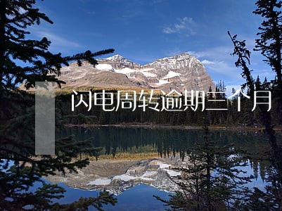 闪电周转逾期三个月 闪电周转逾期三个月