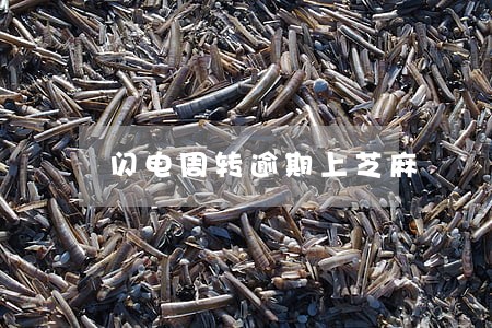 闪电周转逾期上芝麻