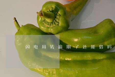闪电周转逾期了还能借吗 闪电周转逾期了还能借吗