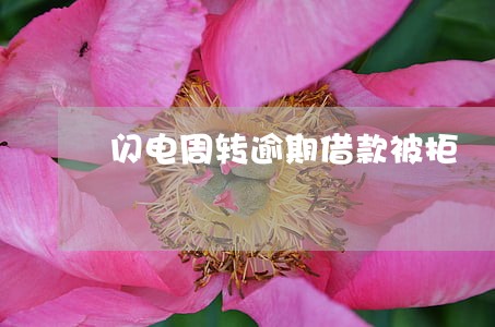 闪电周转逾期借款被拒 闪电周转逾期借款被拒