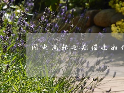闪电周转逾期催收如何 闪电周转逾期催收如何