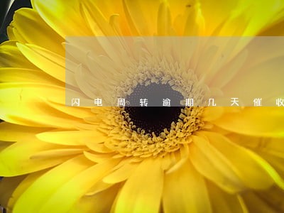 闪电周转逾期几天催收 闪电周转逾期几天催收