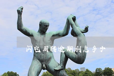闪电周转逾期利息多少 闪电周转逾期利息多少