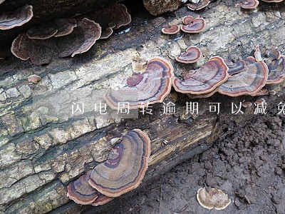闪电周转逾期可以减免 闪电周转逾期可以减免
