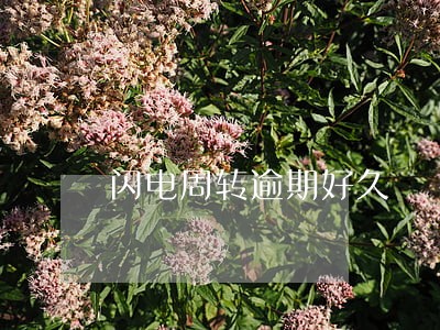 闪电周转逾期好久 闪电周转逾期好久