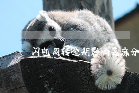 闪电周转逾期影响芝麻分吗 闪电周转逾期影响芝麻分吗