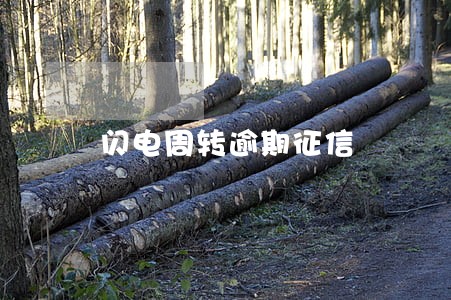 闪电周转逾期征信