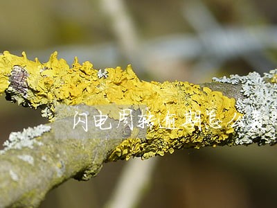 闪电周转逾期怎么轰炸 闪电周转逾期怎么轰炸