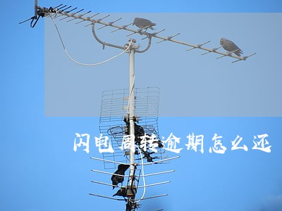 闪电周转逾期怎么还 闪电周转逾期怎么还