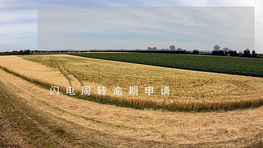 闪电周转逾期申请 闪电周转逾期申请