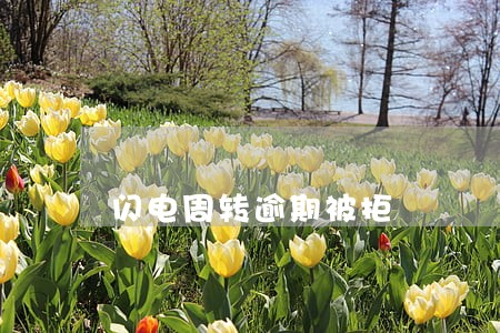 闪电周转逾期被拒 闪电周转逾期被拒