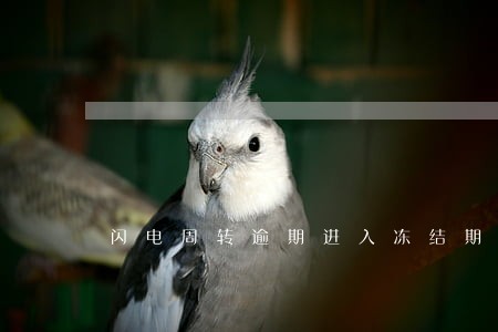闪电周转逾期进入冻结期 闪电周转逾期进入冻结期