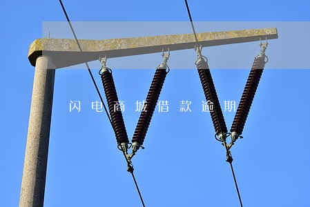 闪电商城借款逾期 闪电商城借款逾期