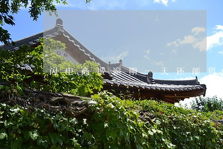 闪电商城逾期一天还能借吗 闪电商城逾期一天还能借吗