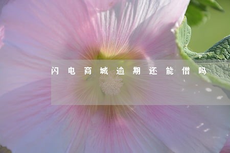 闪电商城逾期还能借吗 闪电商城逾期还能借吗